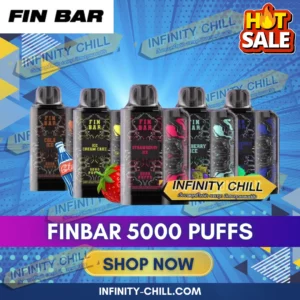 FINBAR 5000 Puffs